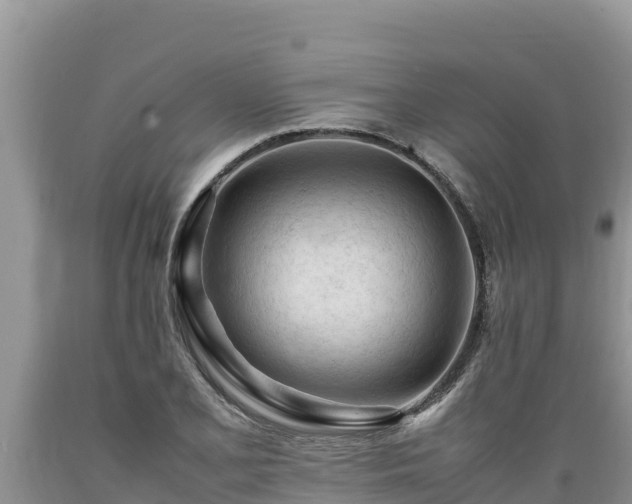 X0000089351077200706221133