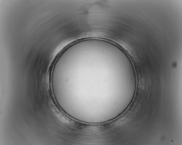 X0000089351078200706221133