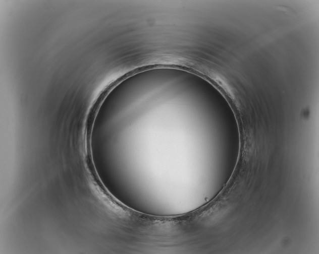 X0000089351080200706221133