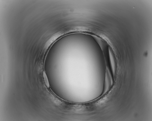 X0000089351081200706221133