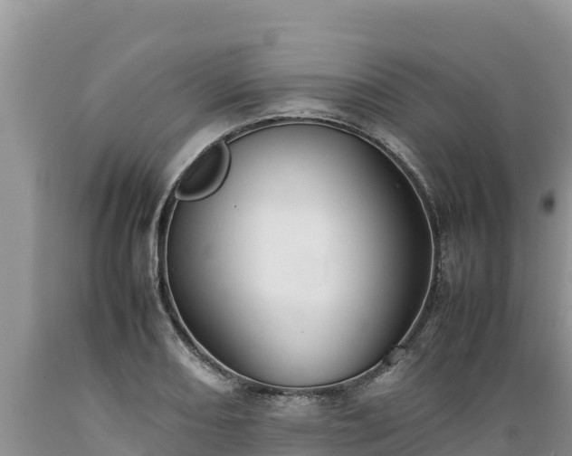 X0000089351082200706221133