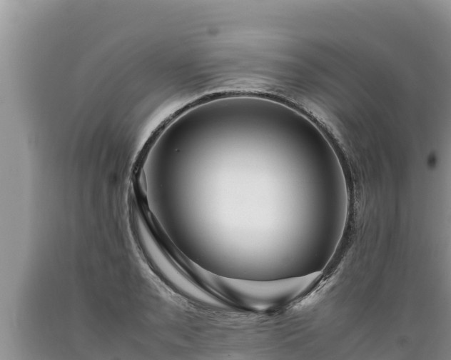 X0000089351085200706221133