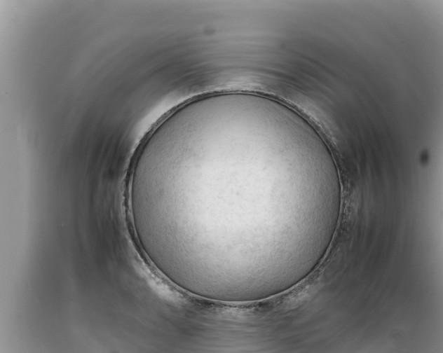 X0000089351086200706221133
