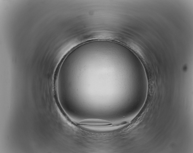 X0000089351087200706221133