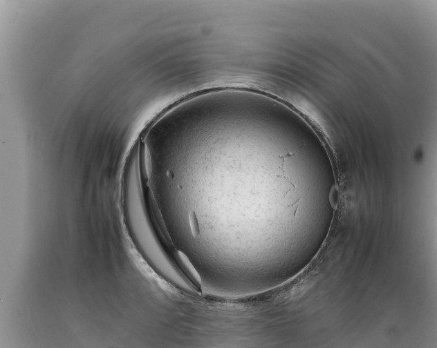 X0000089351088200706221133