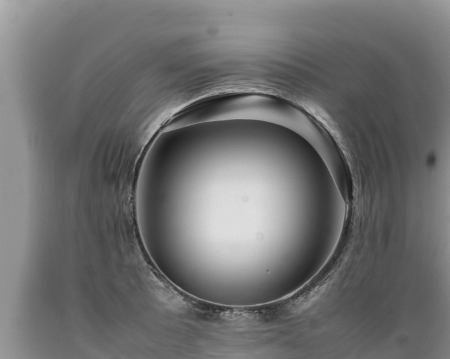 X0000089351089200706221133