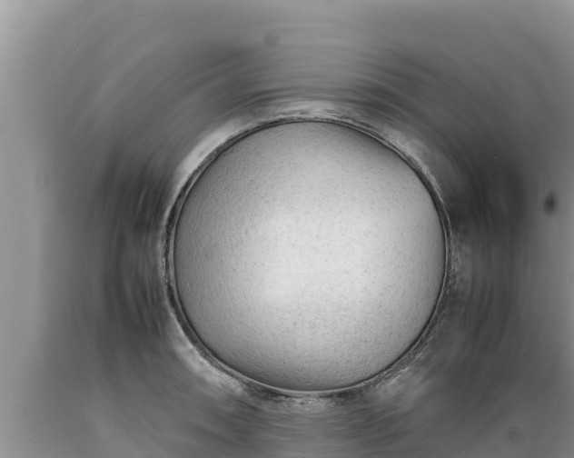 X0000089351090200706221133