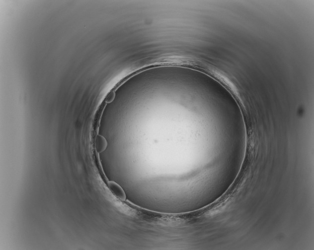 X0000089351091200706221133