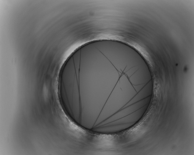 X0000089351094200706221133