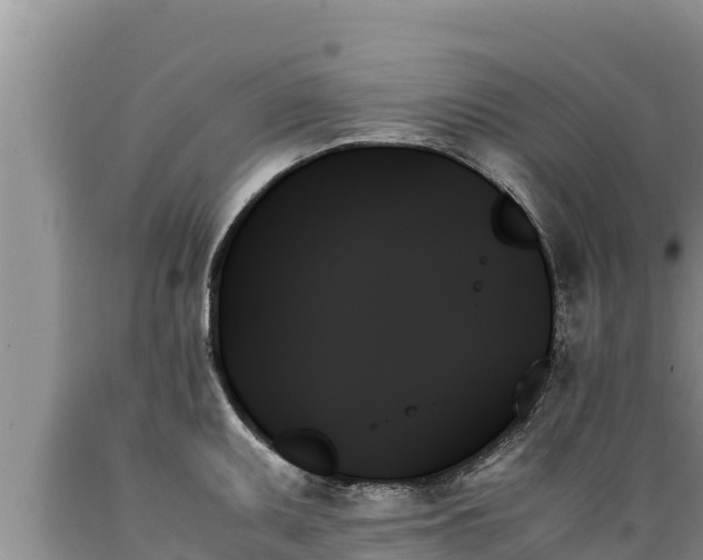 X0000089351095200706221133