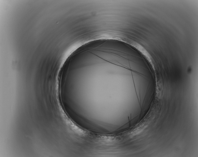 X0000089351096200706221133