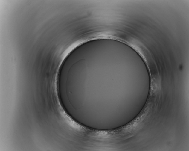 X0000089351098200706221133