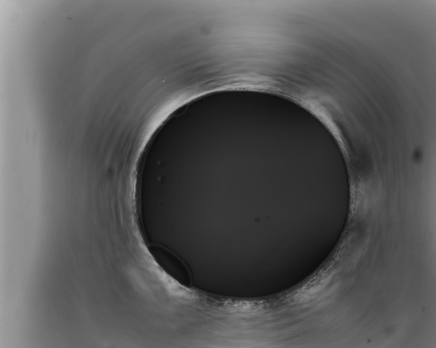 X0000089351099200706221133