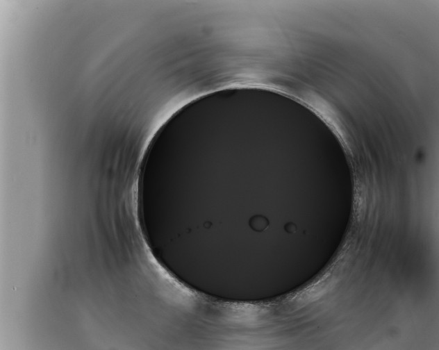 X0000089351100200706221133