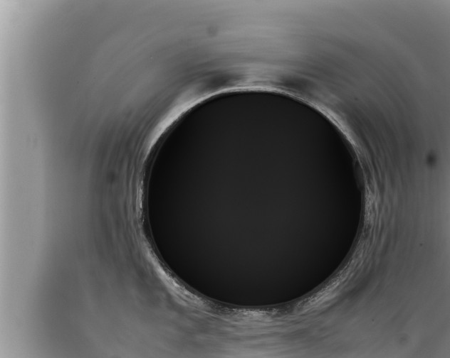 X0000089351101200706221133