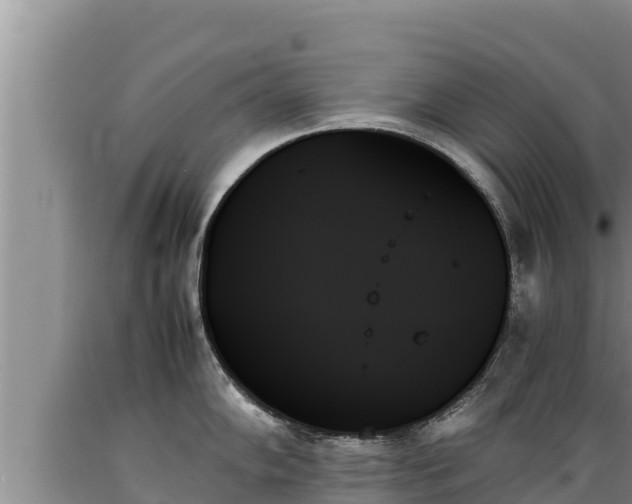 X0000089351102200706221133