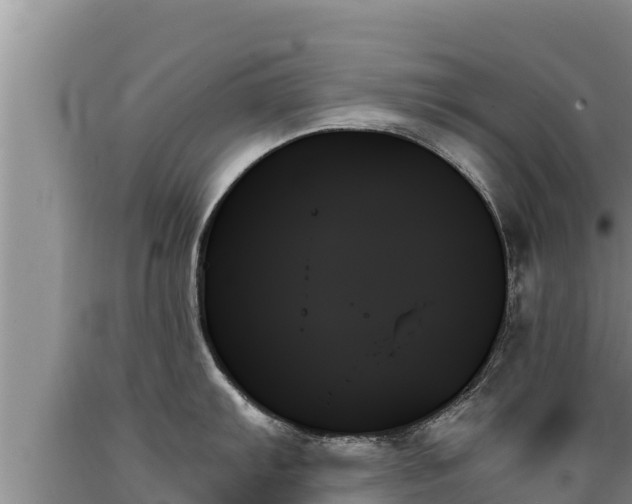 X0000089351103200706221133