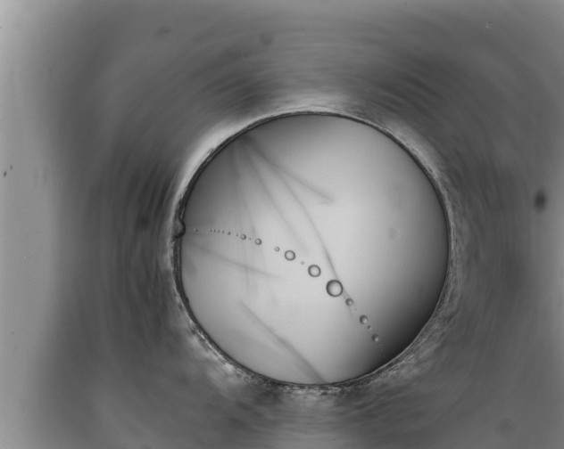 X0000089351104200706221133