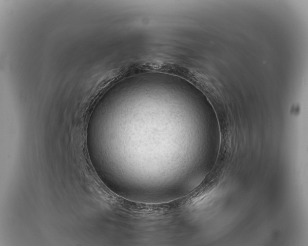 X0000089351105200706221132