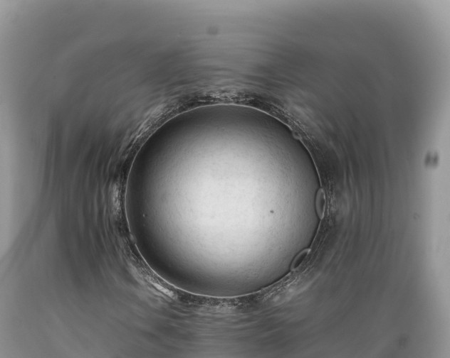 X0000089351106200706221132