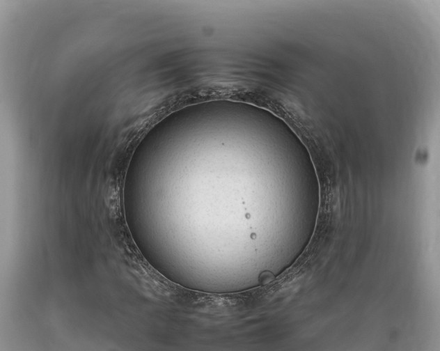 X0000089351109200706221132