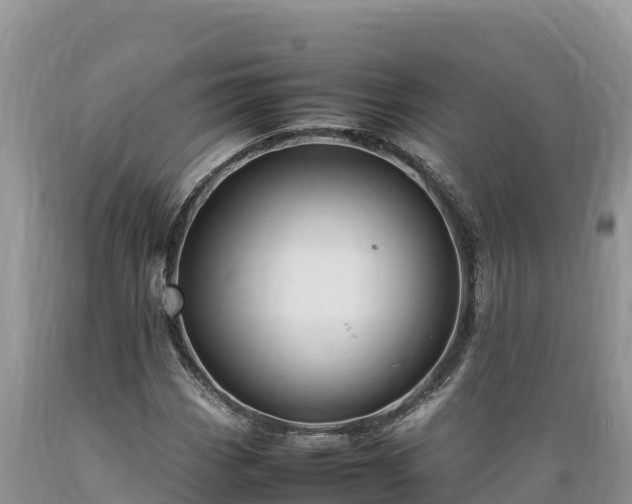 X0000089351113200706221132