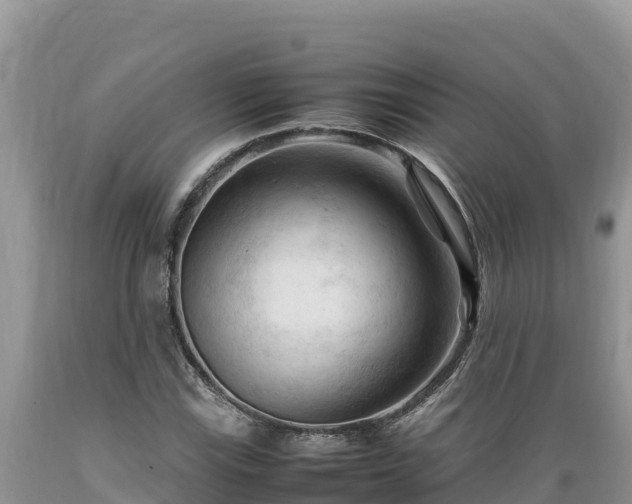 X0000089351115200706221132