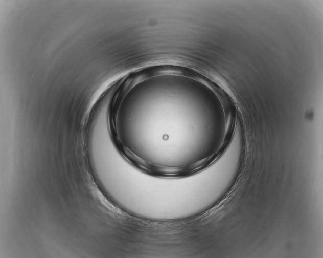 X0000089351116200706221132