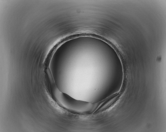 X0000089351118200706221132