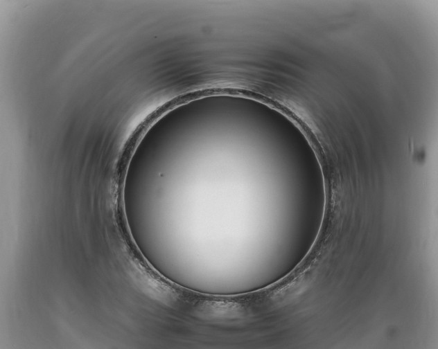 X0000089351119200706221132