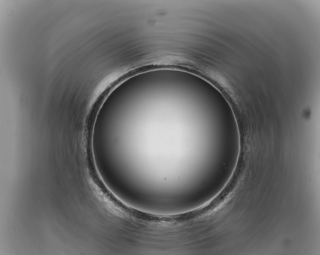 X0000089351122200706221132