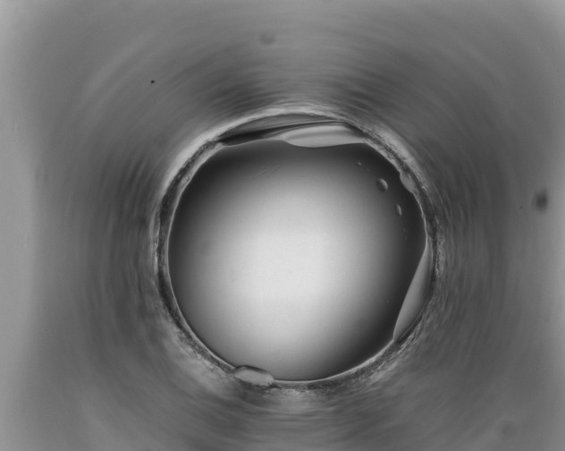 X0000089351124200706221132
