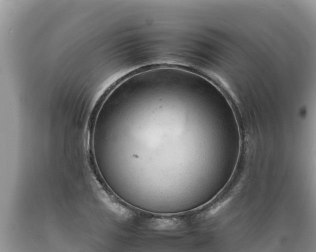 X0000089351125200706221132