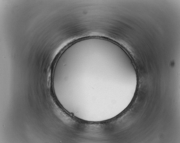 X0000089351126200706221132
