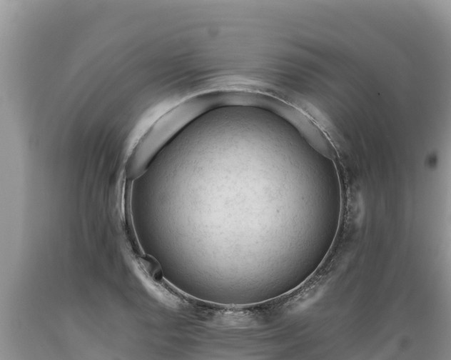 X0000089351128200706221132