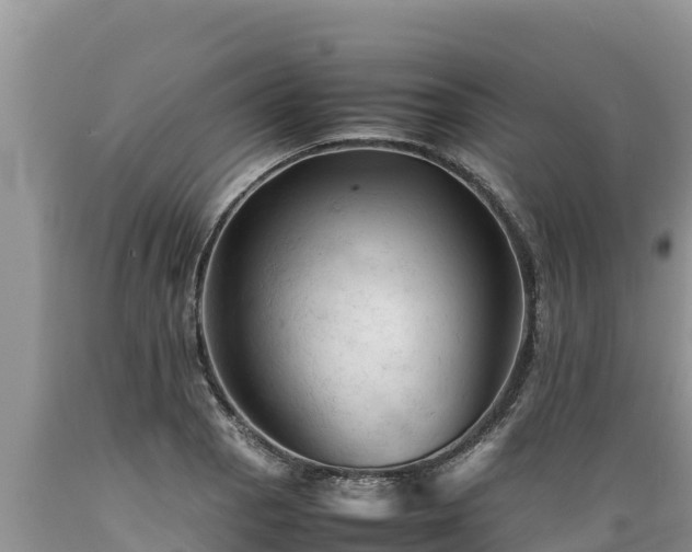 X0000089351129200706221132