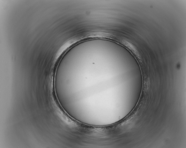 X0000089351130200706221132