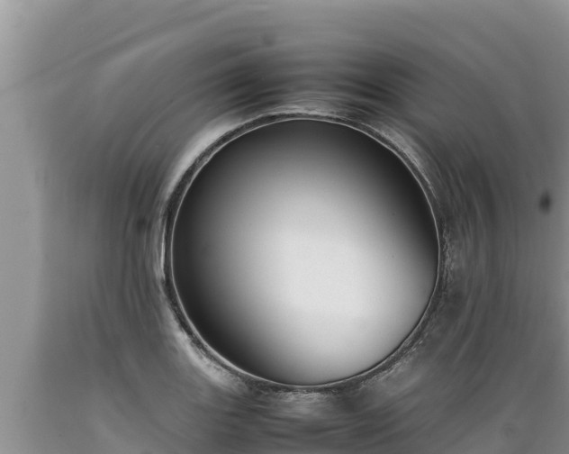 X0000089351131200706221132