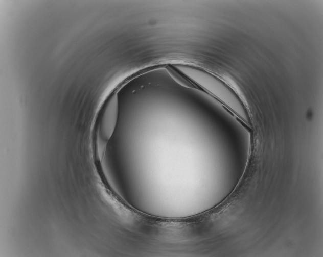 X0000089351132200706221132