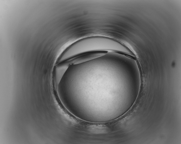 X0000089351133200706221132