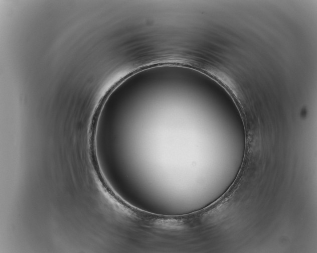 X0000089351135200706221132