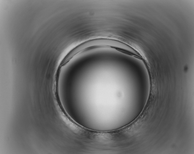 X0000089351136200706221133