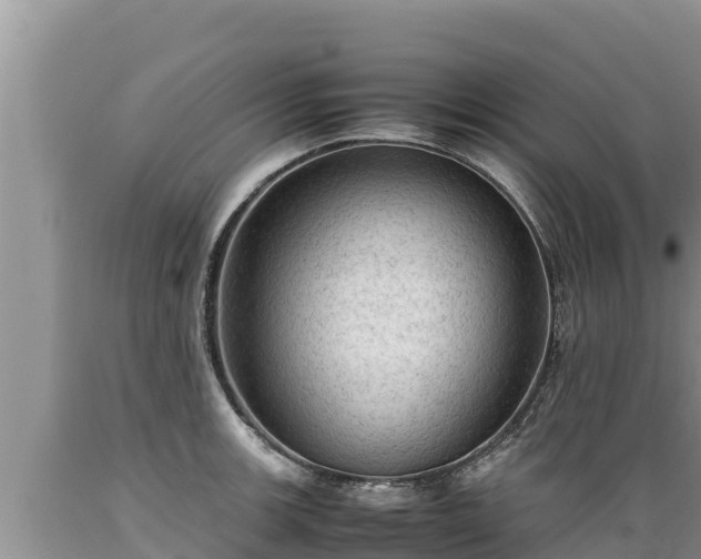 X0000089351139200706221133