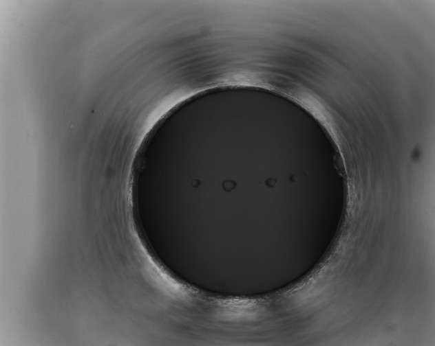 X0000089351141200706221133