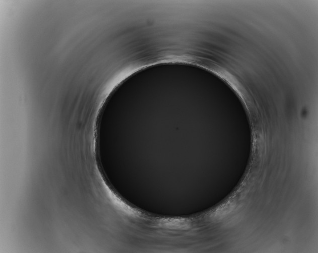 X0000089351143200706221133