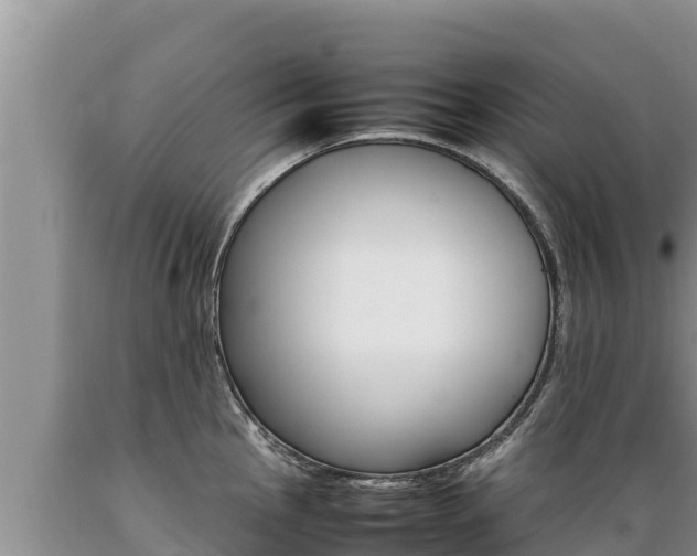 X0000089351145200706221133