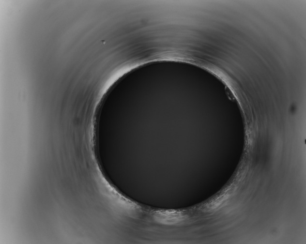 X0000089351147200706221133