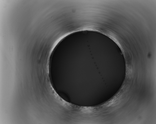 X0000089351148200706221133
