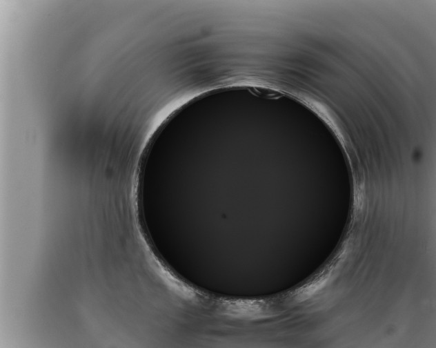 X0000089351149200706221133
