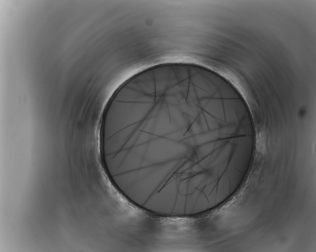 X0000089351150200706221133
